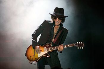 The Joe Perry Project